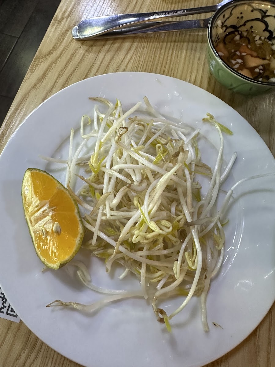 Vietnam Cuisin Restaurante-8